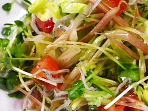 しらすみょうがきゅうりの和風サラダ レシピ 作り方 By Leopoo 楽天レシピ しらすみょうがきゅうりの和風サラダ レシピ 作り方 By Leopoo 楽天レシピ